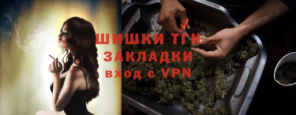 Альфа ПВП Аркадак