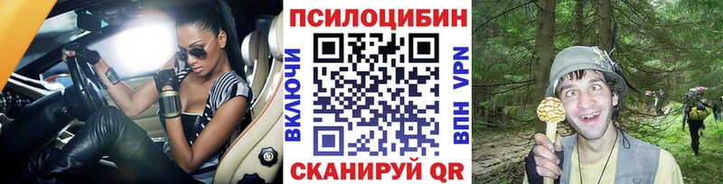 OMG вход  Тетюши  Псилоцибиновые грибы MAGIC MUSHROOMS  закладка 
